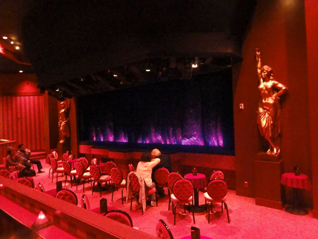 Lo spettacolo al Crazy Horse